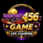 WGS456 Game