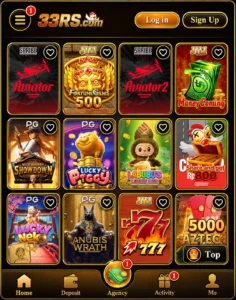 333RS Game Interface